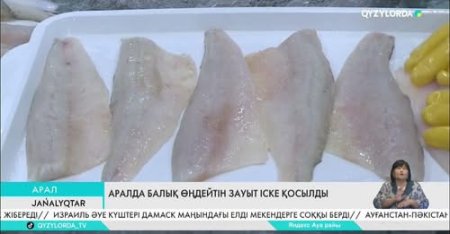 Аралда балық өңдейтін зауыт іске қосылды