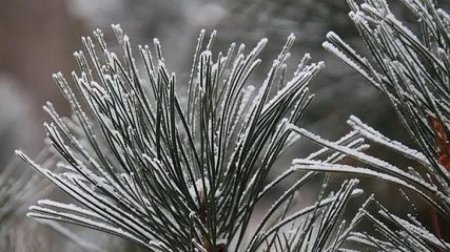 19 қазанға арналған ауа райы болжамы