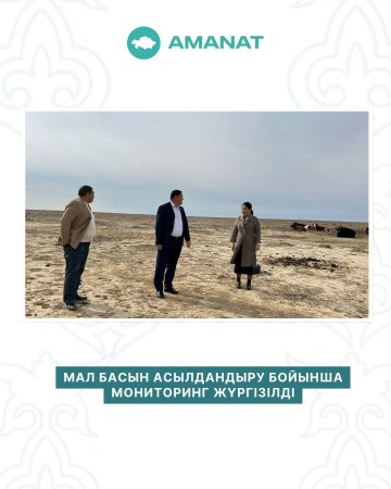 Мал басын асылдандыру бойынша мониторинг жүргізілді
