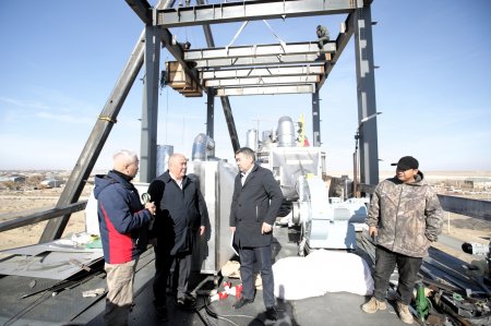 Ауданда түйе сүтінен құрғақ ұнтақ өндіріле бастайды