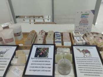 КӘСІПКЕРЛІК САЛАСЫ ҚАНАТ ЖАЙЫП КЕЛЕДІ