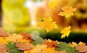 Бүгін қай қалада ауа сапасы нашарлайды