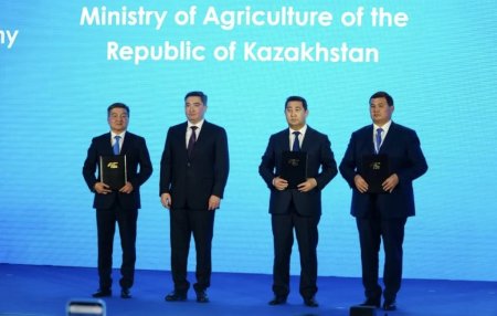 Қызылордада жаңа агрокластер құрылады