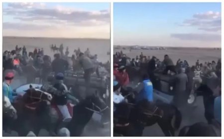 Қызылорда облысында көкпар кезінде көлік жылқыларды қағып кеткен