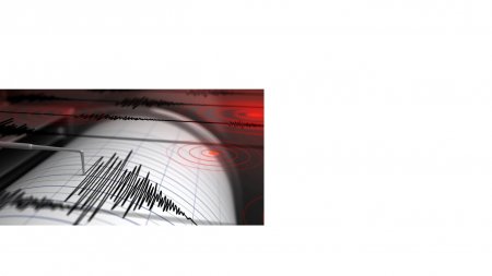 Қытай, Қазақстан және Қырғызстан шекарасында жер сілкінісі болды