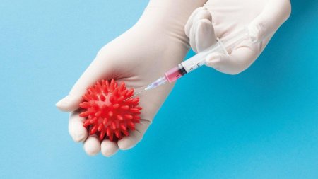 Адам папиллома вирусы жұғу, таралу жолдары, алдын алу шаралары