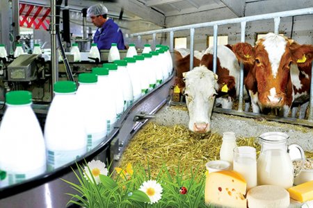 Аралда кәсіпкерлікті қолдауға басымдық берілуде