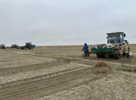 Теңіз табанындағы тіршілік