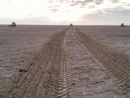 Арал теңізінің құрғаған ұлтанында фитоорманмелиорациялық жұмыстары қарқынды жүргізілуде