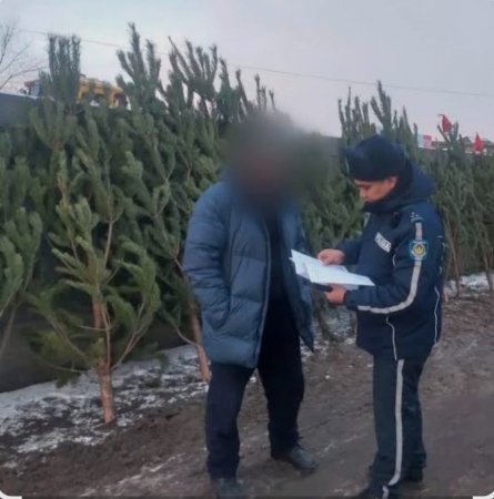 Заңсыз ағаш кесу фактілерінің алдын алу мақсатында жедел іс-шара өткізілді