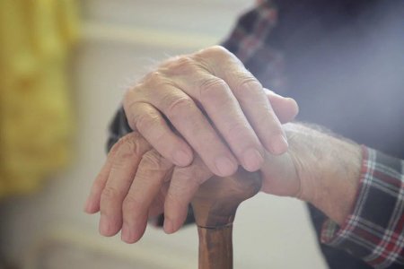 Германияда зейнет жасын көтеру ұсынылды