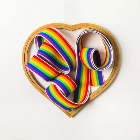 Мемлекет басшысы ЛГБТ насихатына тыйым салуға қатысты заңға қол қойды