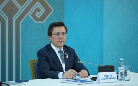 Нұртай Сабильянов: "Кәсіпкерлік саласындағы бірқатар мәселелерді шешу қажет"