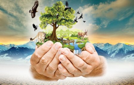 Экоәдеттен – экомәдениетке