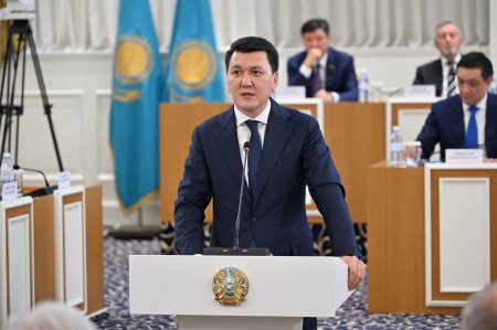 Ерлан Қарин Парламенттік реформа жөніндегі жұмыс тобының атқарған ісіне тоқталды