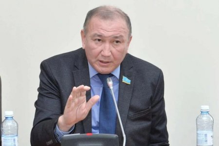 Конституциялық реформа саяси жүйенің орнықтылығы мен азаматтардың құқықтарын қорғауды күшейтеді