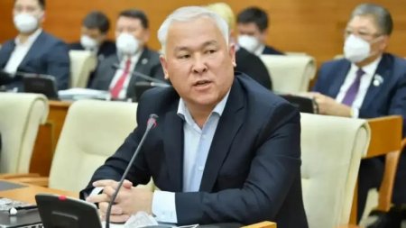 Елдің ғылымы мен мәдениеті, инновациясы мен рухани қуаты – ой еркіндігі бар ортада ғана қалыптасады