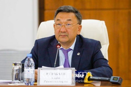 Депутат экологиялық құндылықтарды Ата Заңда ұлттық басымдық деп бекітуді ұсынды