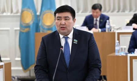 Елнұр Бейсенбаев: Конституциялық реформа саяси партиялардың институционалдық рөлін арттырады