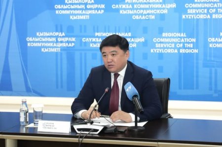 Қызылорда қаласында "Ауыл аманаты" жобасы аясында 46 жобаға жеңілдетілген несие берілді