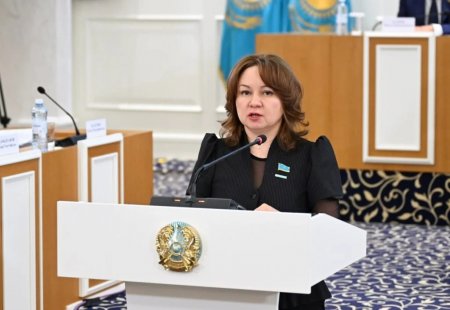 Жаңа Конституцияда барлық өтпелі рәсімдер, мерзімдер мен регламенттер нақты жазылады – Снежанна Имашева