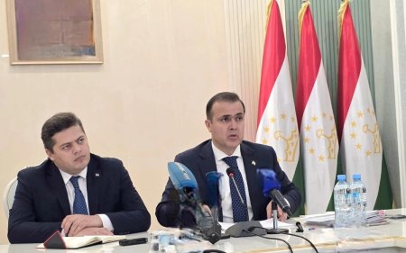 Тәжікстанға тартылған шетелдік инвестиция көлемі 35 пайызға өсті