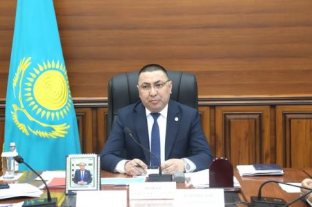 Экономиканы әртараптандыру мәселесі қаралды