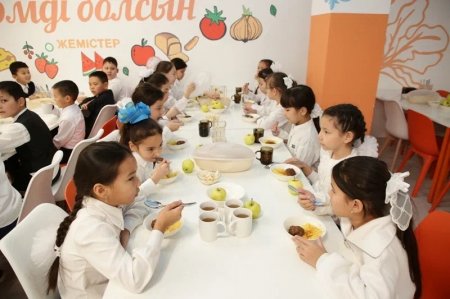 Мектептерде тамақтану стандартының іске асырылу барысы