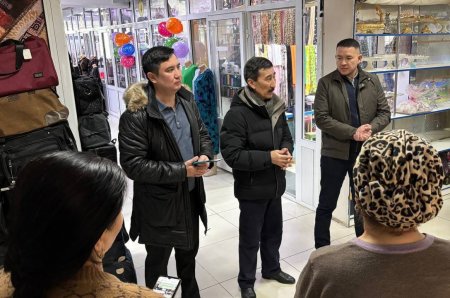 Экспромт-кездесу: Коалиция мүшелері Ата заң жобасын түсіндірді