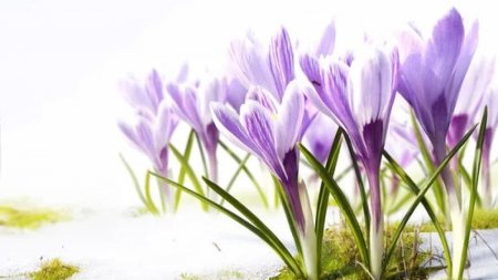 Мереке күндері Қазақстанда ауа райы қандай болады?