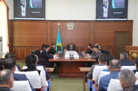 Жаңа Конституцияның нормалары жан-жақты іске аспақ