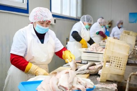 Сапалы өнім – саулық кепілі