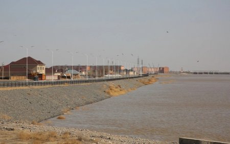 Арал-Сырдария бассейнінде балық аулауға шектеу қойылды