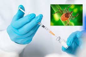 Қырым-Конго геморрагиялық  қызбасы-аса  қауіпті  жұқпалы  ауру