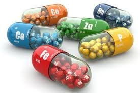 Биологиялық белсенді қоспалар туралы