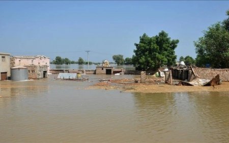 Пәкістанда нөсер жаңбыр 11 адамның өмірін қиды