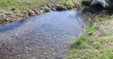 9 мыңнан астам қазақстандық «Мөлдір бұлақ» акциясына қатысты