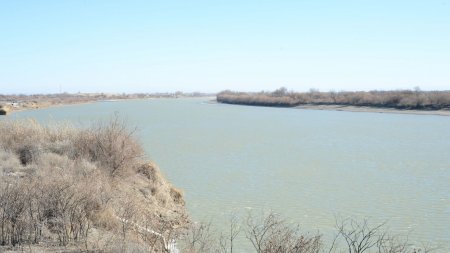 Сырдариядағы жаңа өндіріс