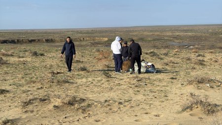 «ТАЗА ҚАЗАҚСТАН» ЭКОЛОГИЯЛЫҚ АКЦИЯСЫ ҚАРҚЫНДЫ ЖҮРГІЗІЛУДЕ