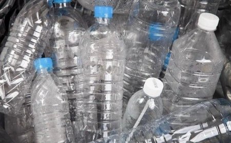 Грузия пластик бөтелкеге тыйымды 2031 жылға қалдырды