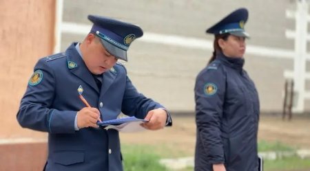 Дабыл сөмкесі: Дамылсыз дайындық жолы