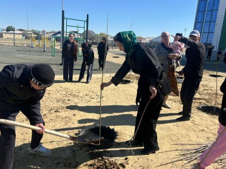 Келешекке тамыр жайған 100 шыбық