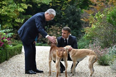 Елімізде жаңа мереке пайда болды