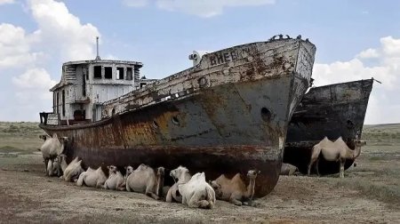 Президент: Арал мәселесі салғырттықтың қандай қасіретке әкеліп соғатынын еске салып тұрады