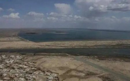 Өзбекстанда Арал табанының 2 млн гектардан астамы көгалдандырылып жатыр