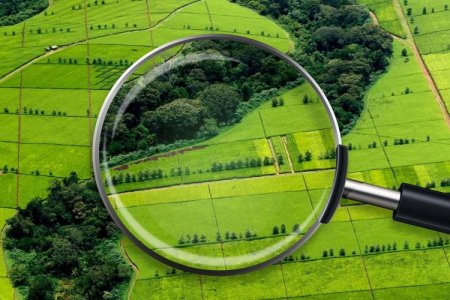 Аралда 8 шаруа қожалықтың жері қайтарылды