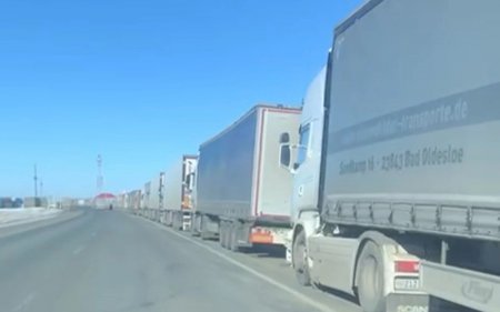 Қырғызстан шекарадағы ветеринариялық бақылауды реттемекші