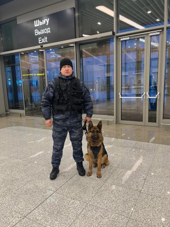 Қызметтегі сенімді серік