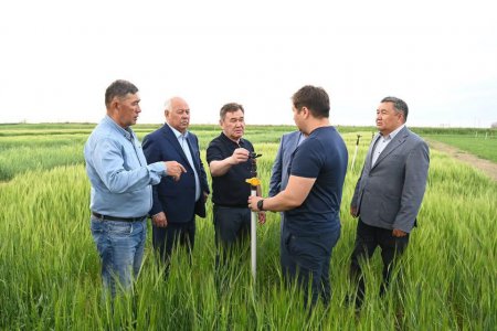 СУ ҮНЕМДЕУ ТЕХНОЛОГИЯЛАРЫ КЕҢІНЕН ЕНГІЗІЛУДЕ