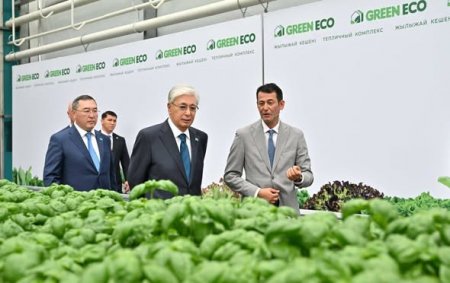 Мемлекет басшысы GREEN ЕСО жылыжай кешенімен танысты